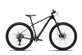 Syncline C3 - M